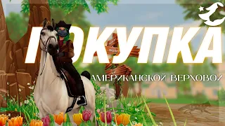 ПОКУПКА АМЕРИКАНСКОЙ ВЕРХОВОЙ | Star Stable Online