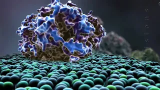 BioVisions: Powering the Cell: Mitochondria (Short) (Official Version)