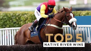 NATIVE RIVER'S TOP 5 WINS INCLUDING AT THE CHELTENHAM FESTIVAL