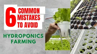 6 Common mistakes to avoid in hydroponics farming