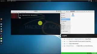 010 Копируем файлы и папки в Kali Linux | Кали Линукс