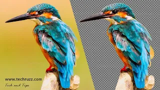 How to Remove Image Background in GIMP