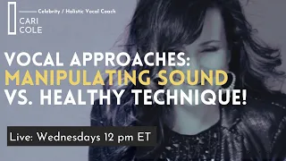 Examining Vocal Techniques: Manipulating Sound Vs. Building A Strong Vocal Foundation