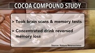 Flavonols in cocoa may boost brain function, study shows