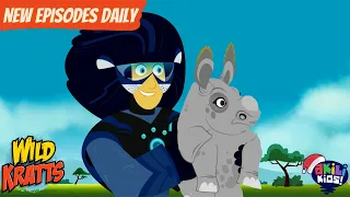 Wild Kratts | The Rhino Rescue | Akili Kids!