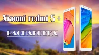 Xiaomi REDMI 5 Plus: распаковка бюджетного "Флагмана"