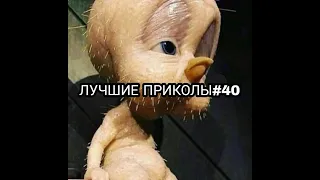 СВЕЖИЕ ПРИКОЛЫ ЗА АПРЕЛЬ 2022!! ЗАСМЕЯЛСЯ-ПОДПИСАЛСЯ!!!