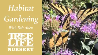 Habitat Gardening - Bob Allen