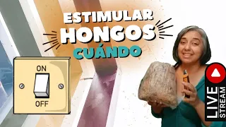 Es momento de ESTIMULAR la FRUCTIFICACIÓN 🍄💡✂️?