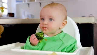 Baby-led weaning basics