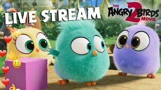 The Angry Birds Movie 2 - Live Stream