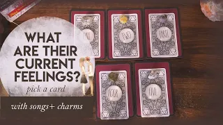 🔮 What Are Their Current Feelings? 🥰  | PICK A CARD | Love Tarot Reading with Songs & Charms