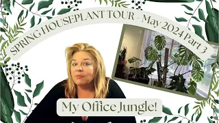 🎋 🪴 🌴 Houseplant Tour Spring 2024 - Part 4 …Living Room/Dining Room!