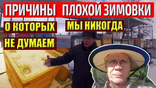 Гибель пчёл зимой Ошибки пчеловода Вентиляция в улье зимой