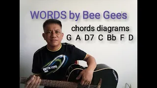WORDS COVER by BeeGees guitar playing w/ chords