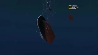 titanic sinking