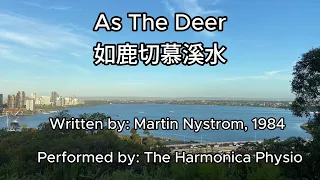 As The Deer (Harmonica Cover) | 如鹿切慕溪水 (口琴版）| The Harmonica Physio