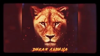 ALEX &RUS Дикаяльвица | New tiger sound trending video in tiktok | tiktok tiger meow music video