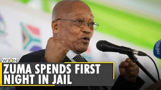 Former South Africa's President Jacob Zuma starts serving his prison sentence | Latest English News