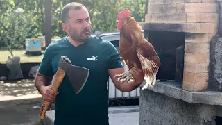 CHICKENS in a TANDOOR.