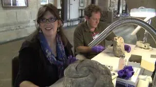 St Paul's Cathedral - Behind the Scenes: Archaeological Stone Collection
