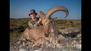 West Texas AOUDAD HUNT! (3 Free Range Giants)