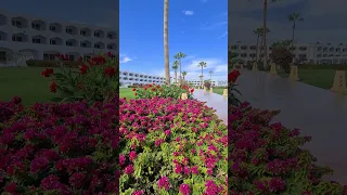 🦈 BARON RESORT SHARM  EL SHEIKH 5*, Шарм, Рас Насрани, Египет - для любителей снорклинга, семейный