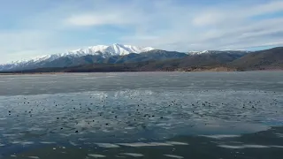 Сотни нерп выбрались на льдины на Байкале