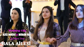 Aziz Waisi & Miran Ali - Qurbani bım | WEDDİNG CLIP