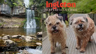 Ingleton Waterfalls Trail, Yorkshire Dales, With our 2 ageing Border Terriers Molly & Lilly.