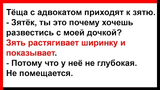 Зять, перед тёщей расстёгивает ширинку и показывает свой... Анекдоты! Юмор! Позитив!