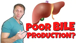 Is Bile Production Really the Problem