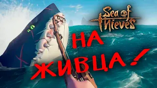 Sea of Thieves КООП НАРЕЗКИ ВЕСЁЛЫХ И СМЕШНЫХ МОМЕНТОВ, БАГИ, ПРИКОЛЫ, ФЭЙЛЫ! 👍🤣