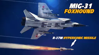 Taking On The Mig-31 Foxhound | F-14 Tomcat | Digital Combat Simulator | DCS | BVR |