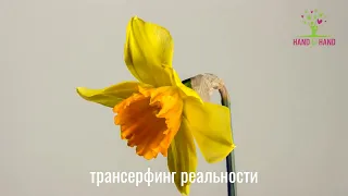 HAND TO HAND - ЧЕЛЛЕНДЖ - ТРАНСЕРФИНГ РЕАЛЬНОСТИ! День-36