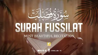 Surah Fussilat (Ha Mim As-Sajdah) - Heart touching Quran  سورة فصلت | Zikrullah TV