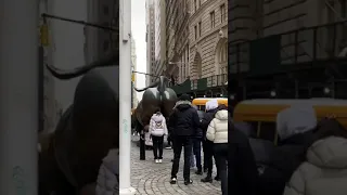 When tourist🫣‼️🔥takes a picture with the charging bull’s butt on Wall Street #shorts #newyorkcity