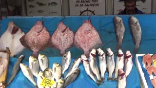 Сколько здесь рыбы!!! Какую рыбу можно купить в Стамбуле? 🐟