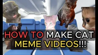 How To Make a Cat Meme Video😹😸