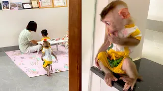 Too smart! Monkey Puka woke up and looked for his mother, asking for food