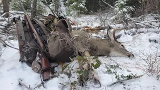 Hunting In BC | Okanagan Mountain Whitetail Hunt 2021