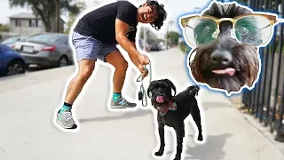 I Let My Dog Walk Me For A Day!