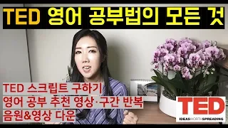 TED 영어 공부법의 모든 것 (추천 테드 강의 영상, 한/영자막 및 스크립트 구하기, 구간 반복 청취 등)