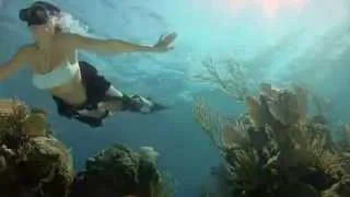 GoPro HD  Shark Riders   Introducing GoPro's New Dive Housing   YouTube