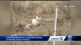 Human bones found throughout ABQ