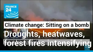 'Sitting on a bomb': Climate change 'intensifying' France's droughts, heatwaves, and forest fires