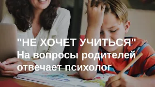 Не хочет делать домашние задания и учиться: что делать? Отвечает психолог