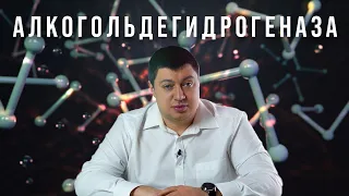 Алкогольдегидрогеназа. Или что такое похмелье