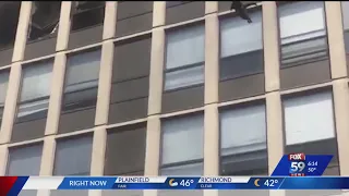 Cat survives jump from fifth floor