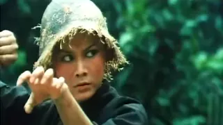 Six Kung Fu Heroes | 1980 (Action, Kung-Fu) Full Movie